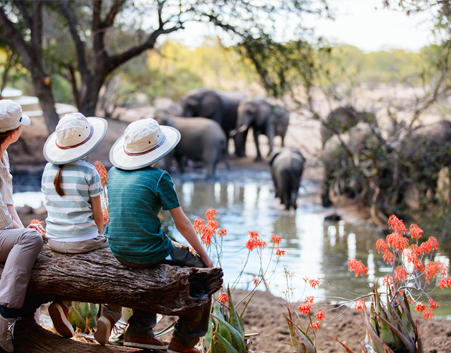 safari-en-famille